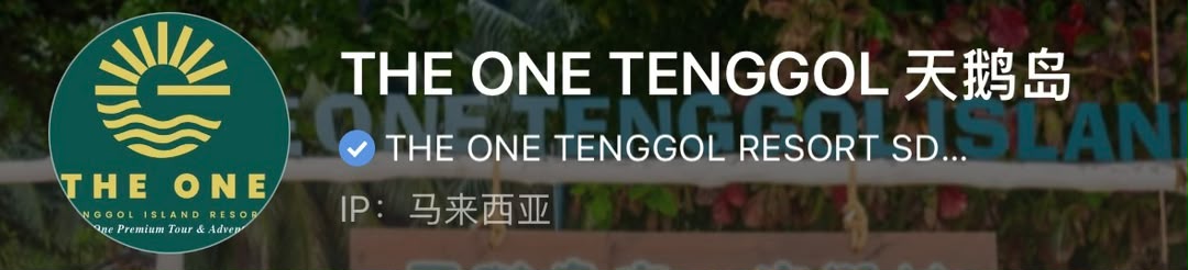 THE ONE TENGGOL 天鹅岛小红书企业号蓝勾认证真实截图